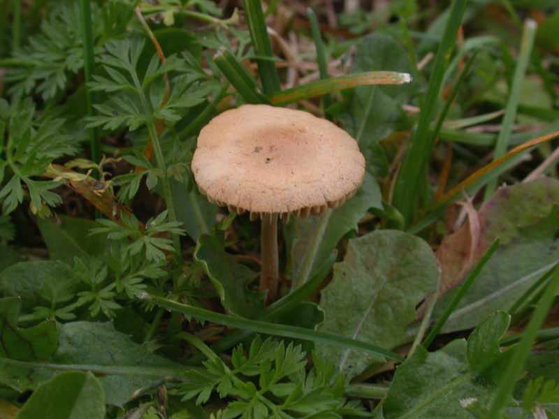 Nel parco sotto casa